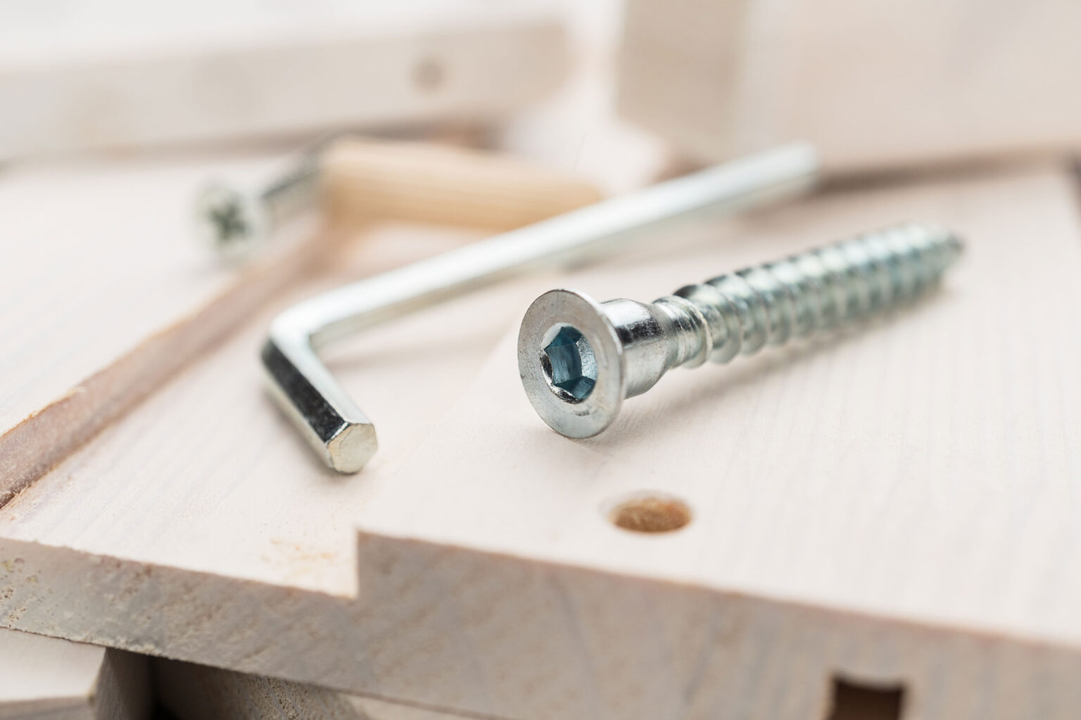 screw-for-furniture-assembly-close-up-GTR49WL