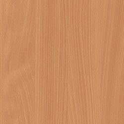 Bavarian Beech