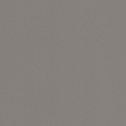 Brushed Aluminium