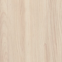 Champagne Hard Maple
