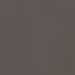 Cibanite Steelbrush