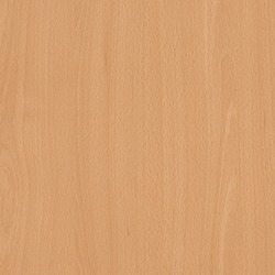 Ellmau Beech