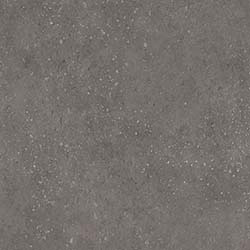 Grey Sparkle Grain