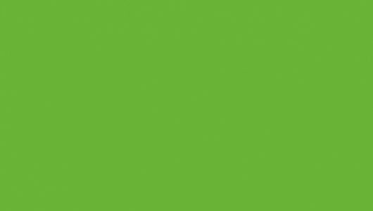 Mamba Green MFC