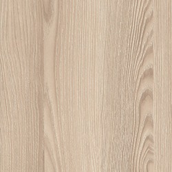 Navarra Ash