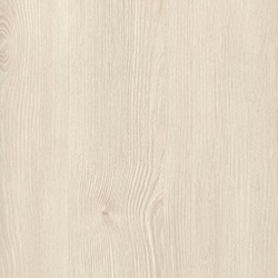 Polar Aland Pine