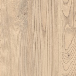 Sand Kentucky Chesnut