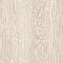 White Gladstone Oak