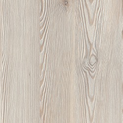 White Mountain Larch