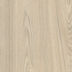 White Tossini Elm